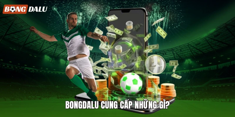 Bongdalu cung cấp những gì?